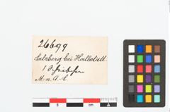 Etikett zu Bronzebuckelscheibe (NHMW-PRAE-026699)